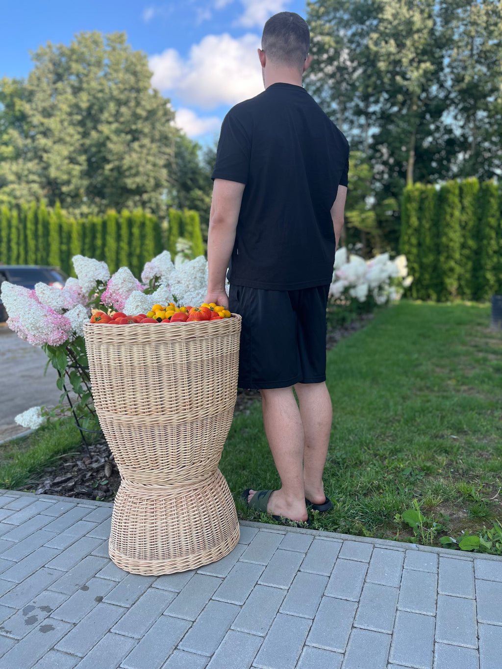 Display Basket 001r