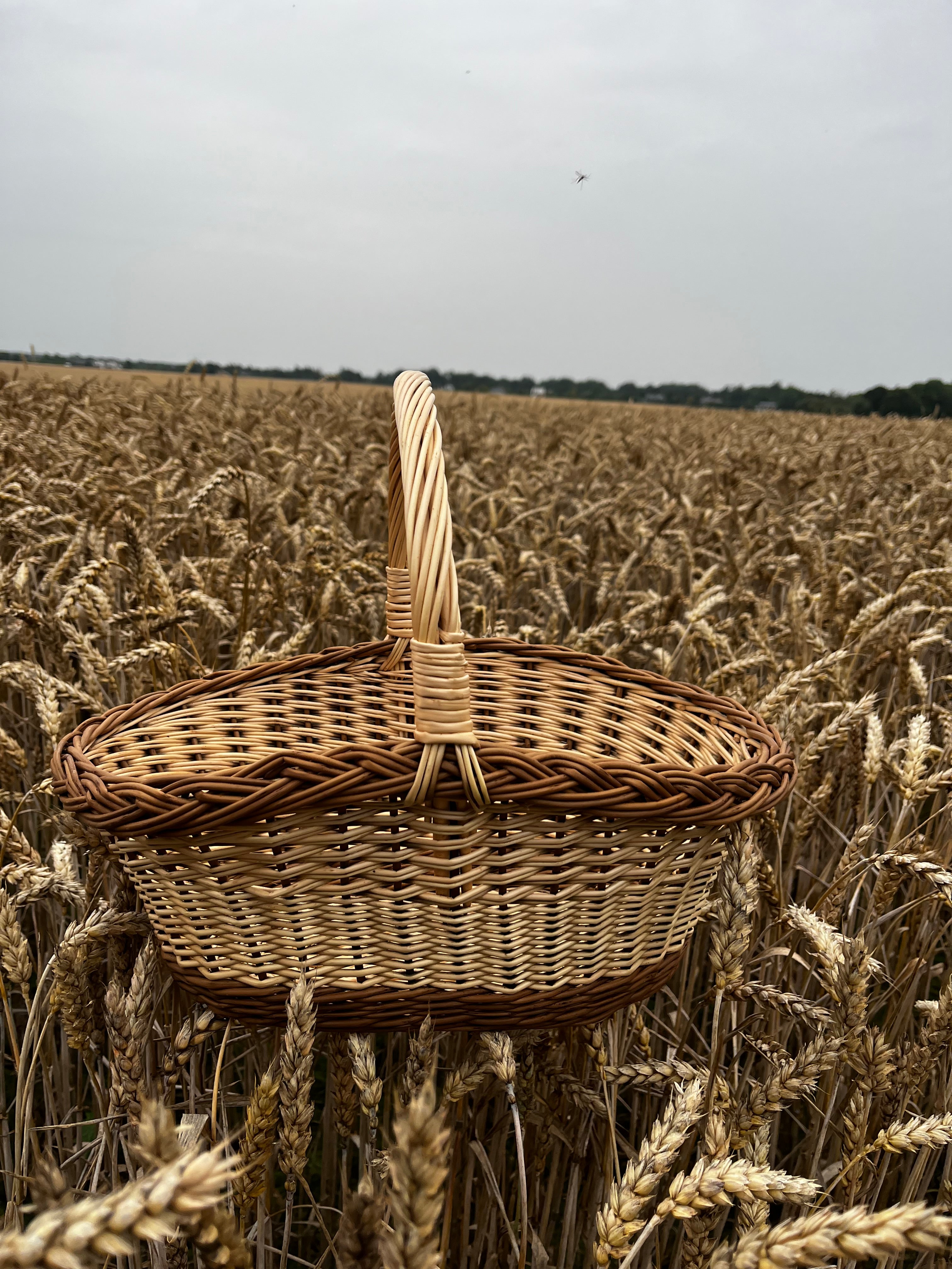 Wicker basket 020b