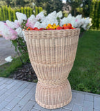 Display Basket 001r