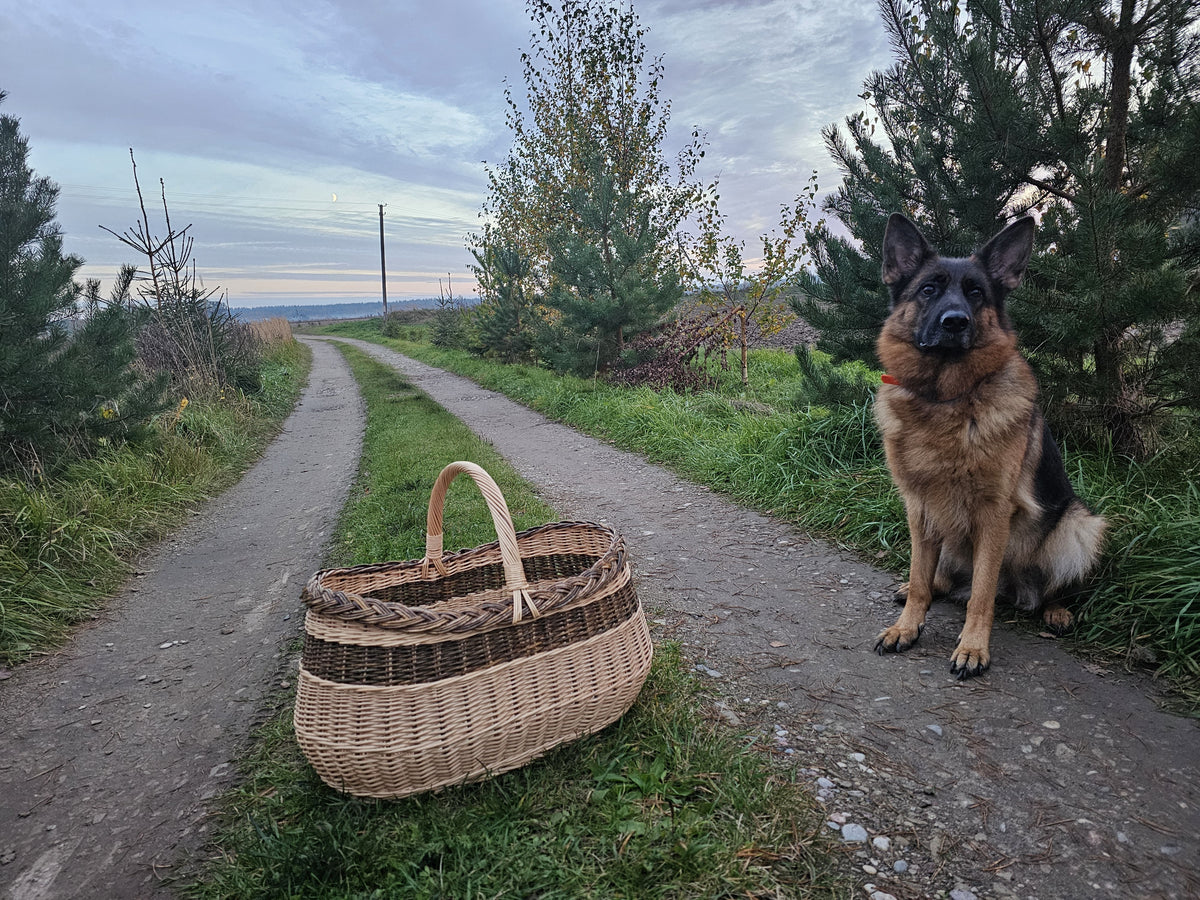 Großer ovaler Weidenkorb auf einem Schotterweg, daneben sitzt ein Deutscher Schäferhund