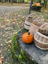 Drei Weidenkörbe mit Henkeln auf einem bemoosten Stein neben einem kleinen Kürbis an einem herbstlichen Parkweg