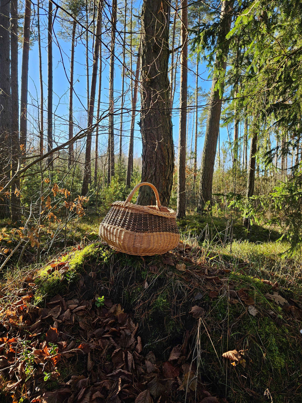 Wicker basket 017r - NaturelyWoven wicker - handmade