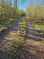 Wicker basket 030r - NaturelyWoven wicker - handmade