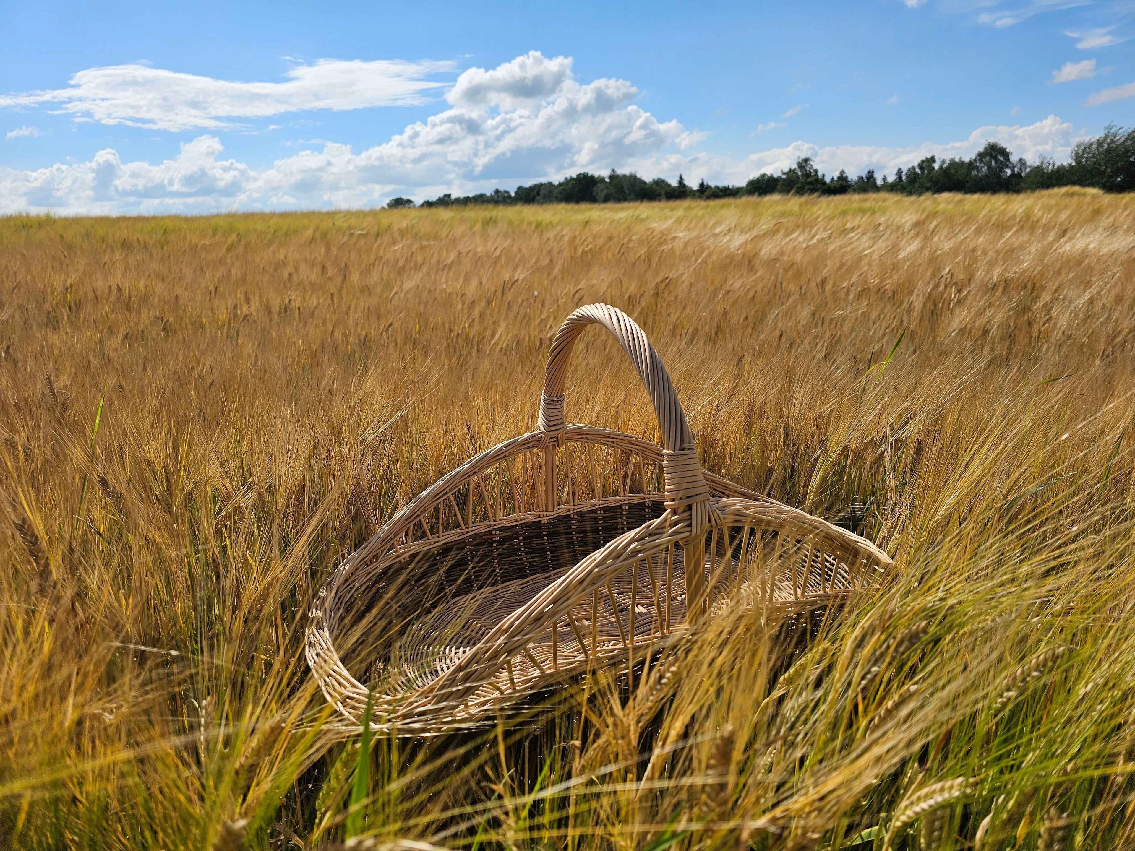 Open-Weave Wicker Garden Trug — wicker basket, view 5