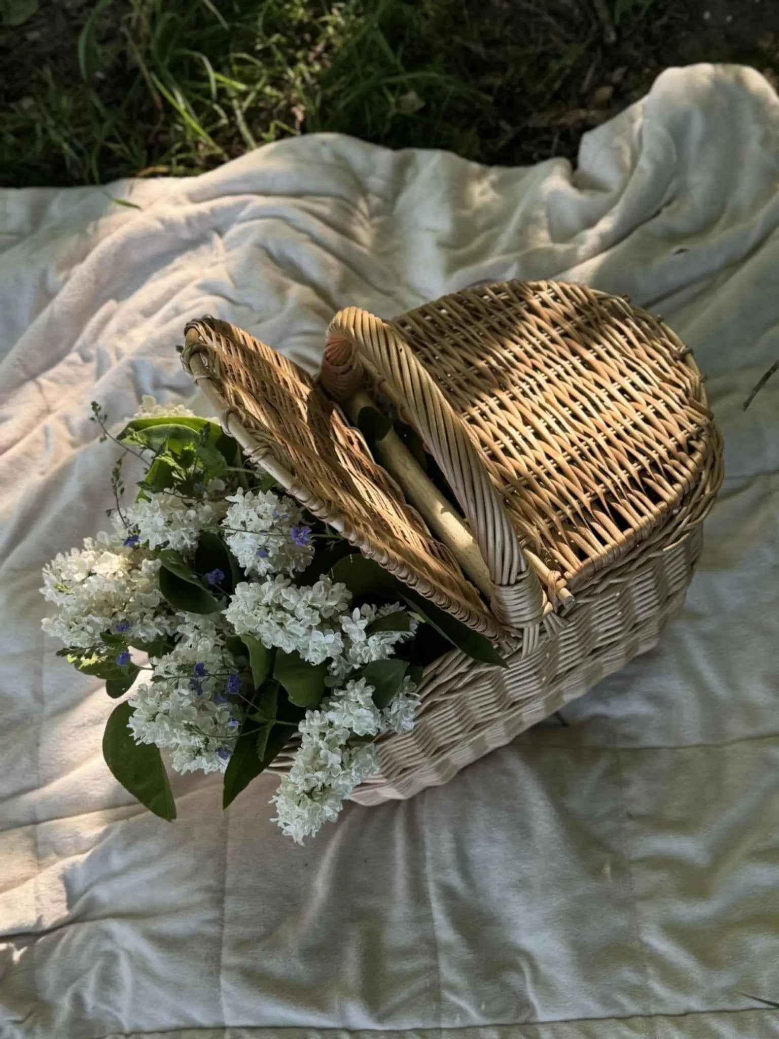 Wicker picnic basket 022b - NaturelyWoven wicker - handmade