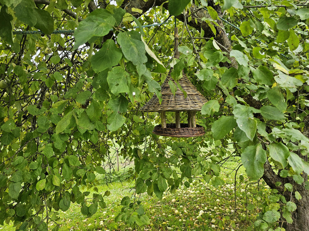 Willow bird table with a conical roof hanging under the leafy branches of a tree, seen from a distance in the garden