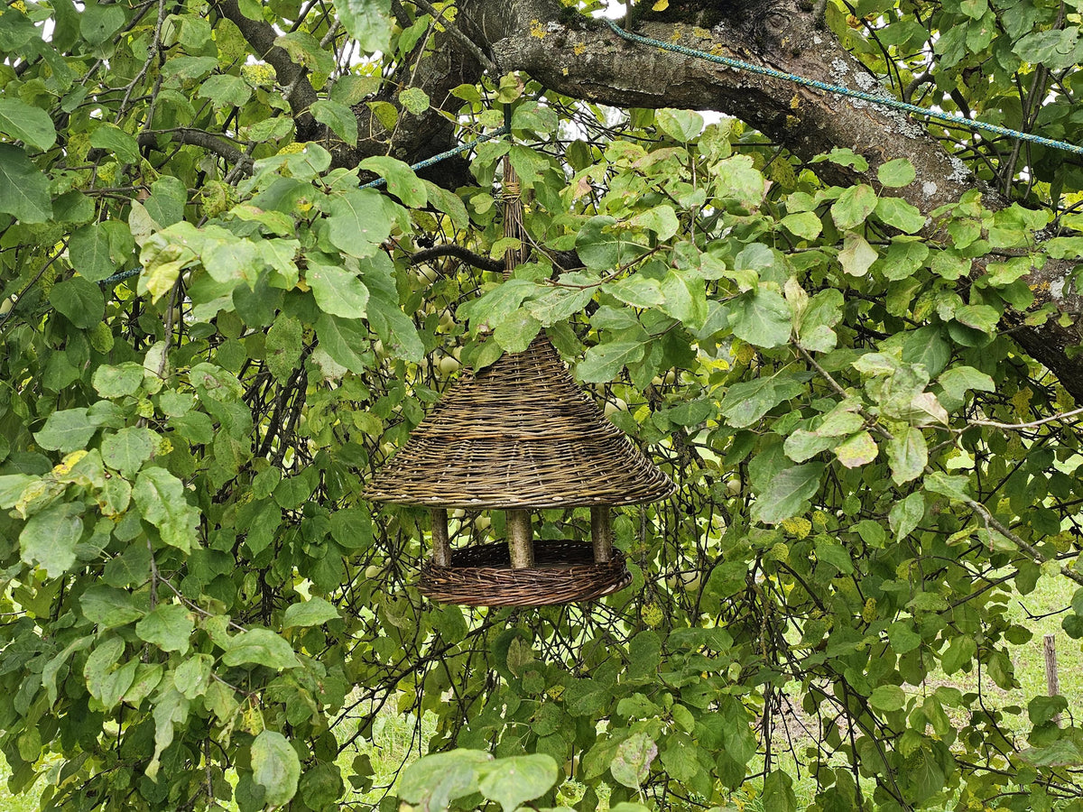 Willow hanging bird table with a conical roof suspended from the branch of an apple tree among green leaves in the garden