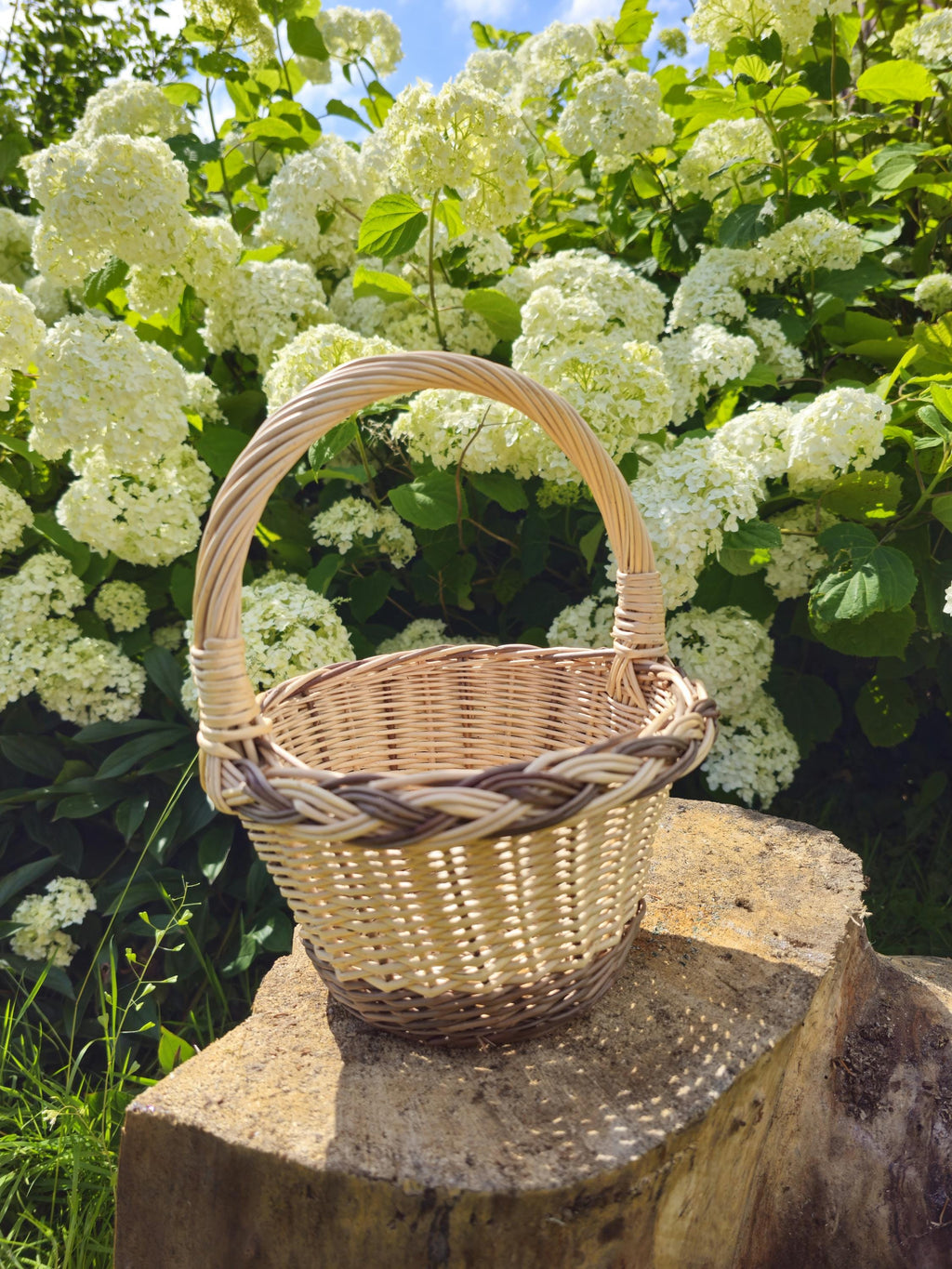 Mini willow basket with a contrasting braided rim and matching base, the arched handle set into the sides, standing on a tree stump in front of hydrangeas.