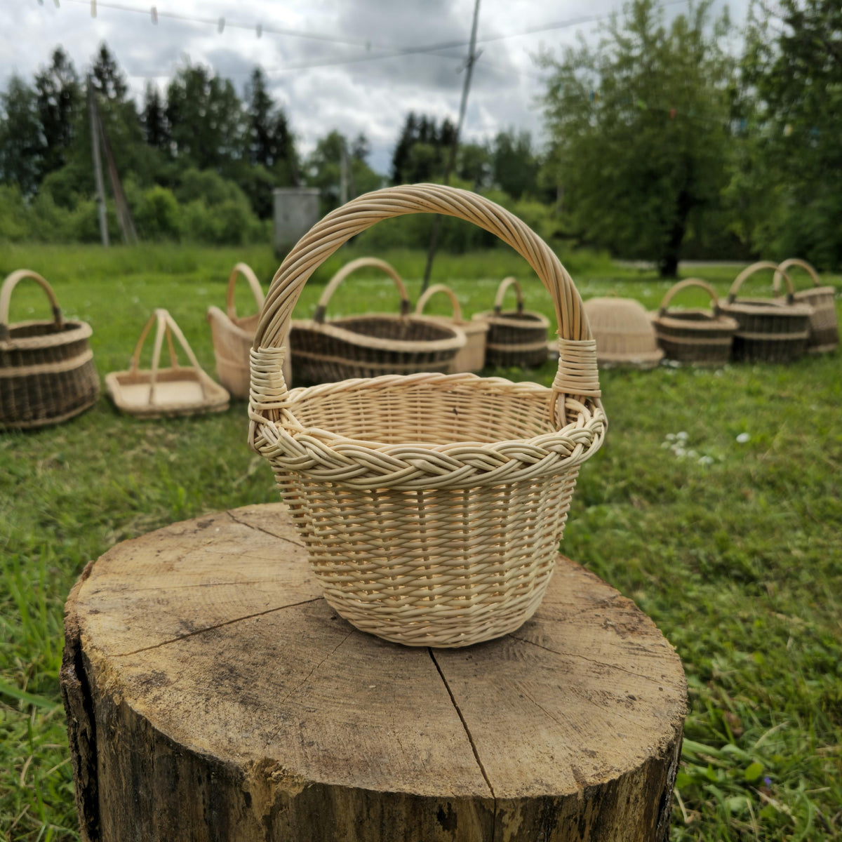 Small round wicker basket with a flat base, open top and tight uniform weave, finished with a braided rim and an arched handle, on a stump in a meadow.