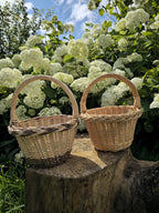 Two mini round willow baskets side by side on a tree stump, one with a contrasting braided rim and base, the other with a plain woven rim.