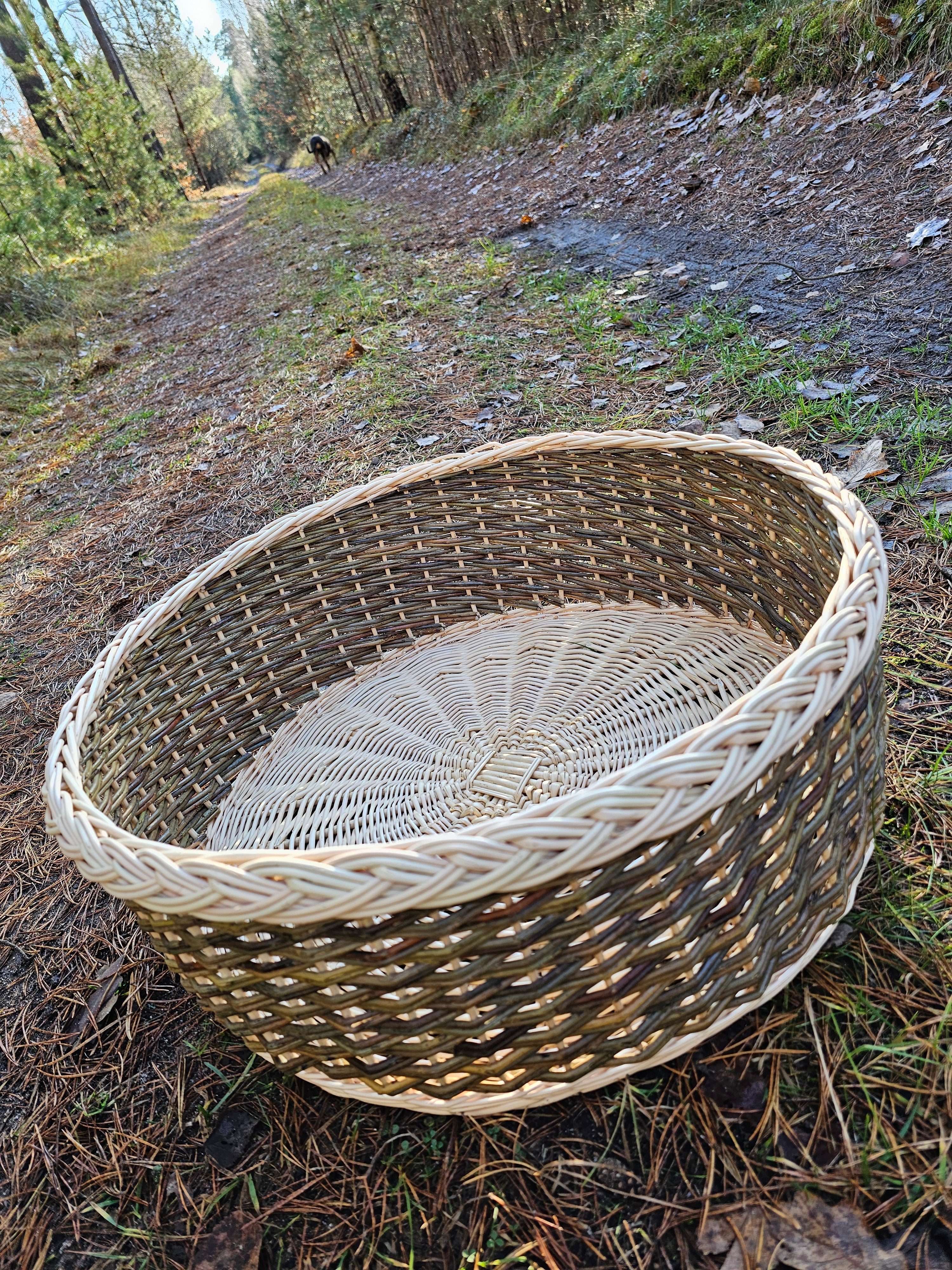 Oval Wicker Bowl 0023 - NaturelyWoven