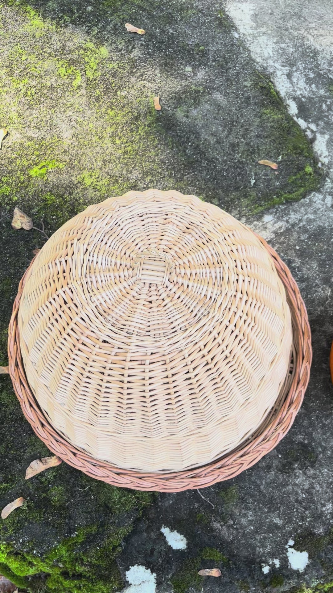 Handmade Wicker Food Cover with Tray
