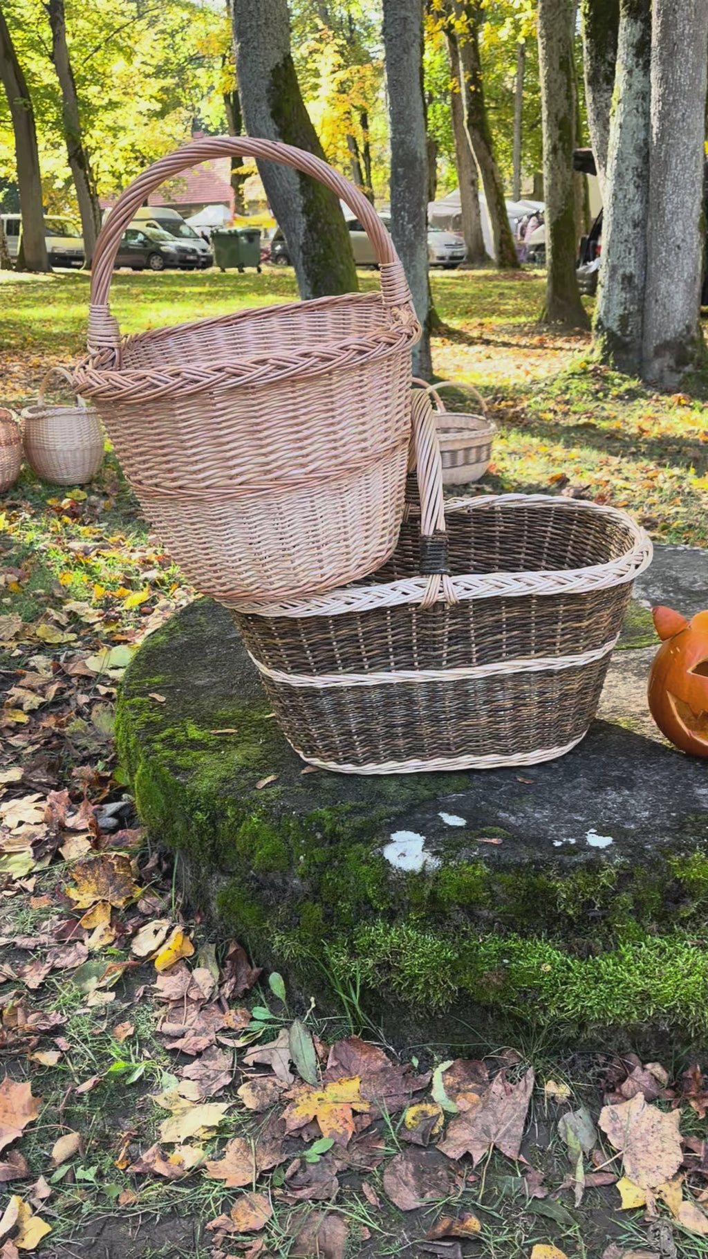 Large Oval Wicker Storage Basket with Sturdy Handle