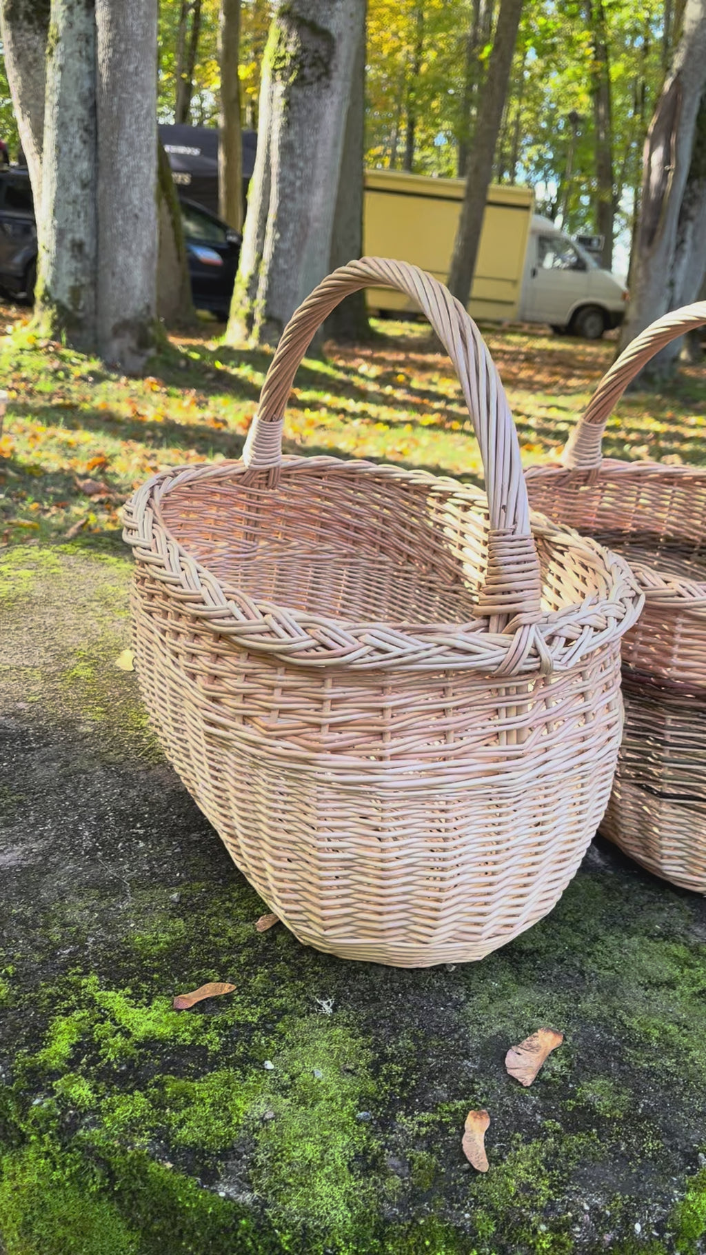 Handwoven Willow Basket