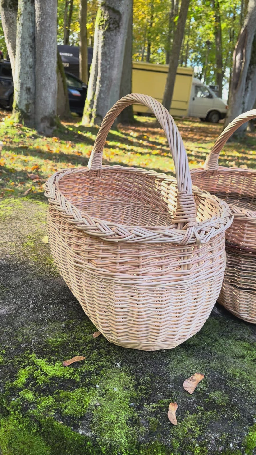 Handwoven Willow Basket
