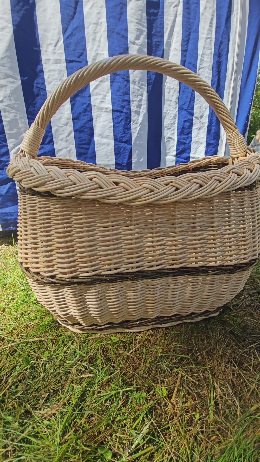 Wicker Oval Basket with Braided Rim