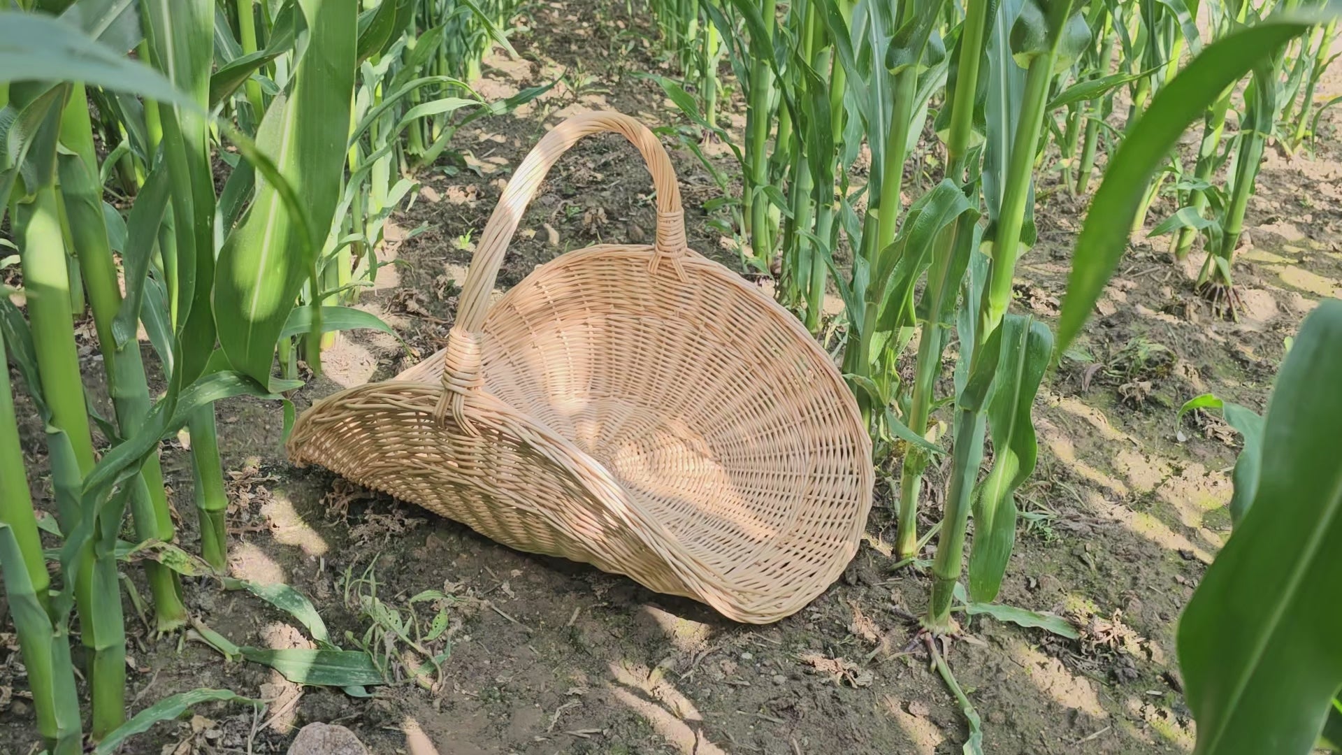 Wicker flower basket 031b