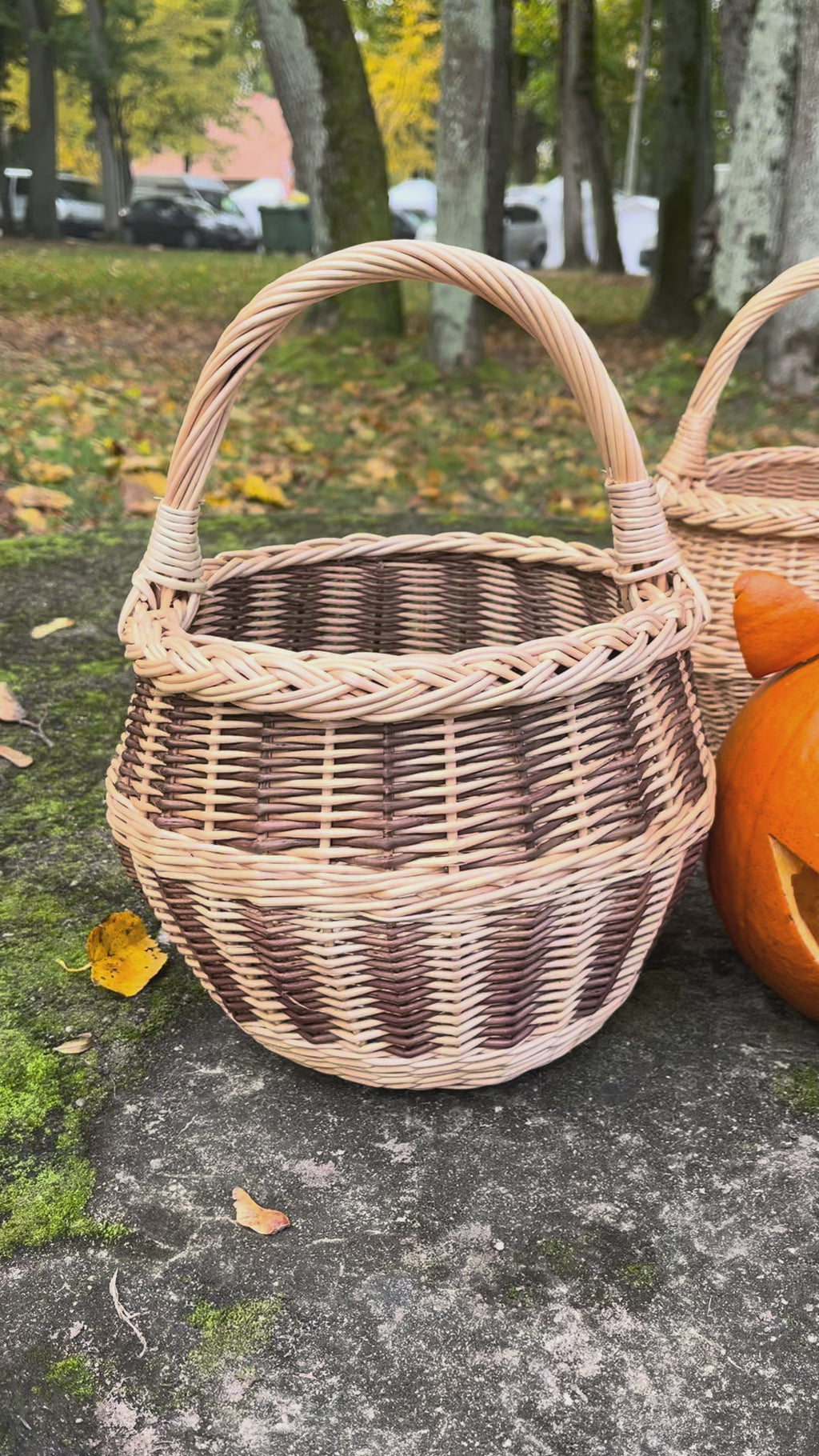 Small Wicker Basket