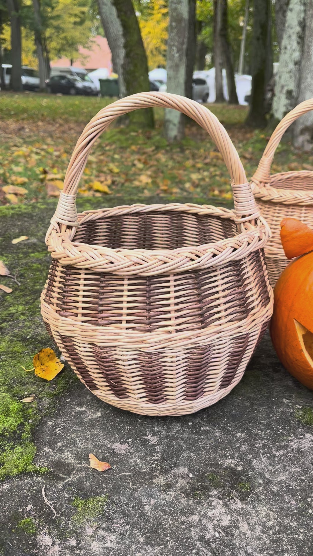 Small Wicker Basket