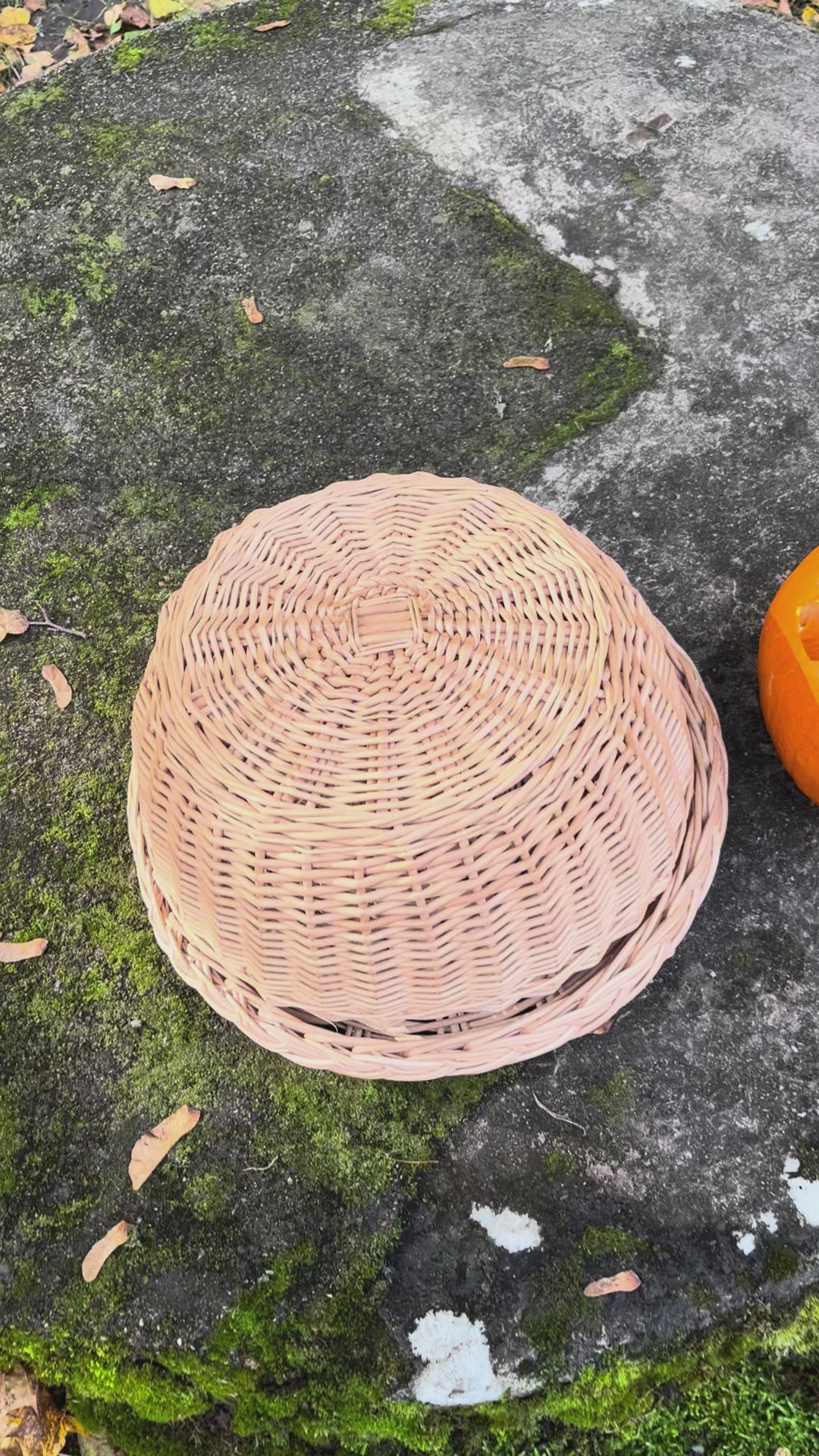 Rustic Kitchen Cloche & Tray