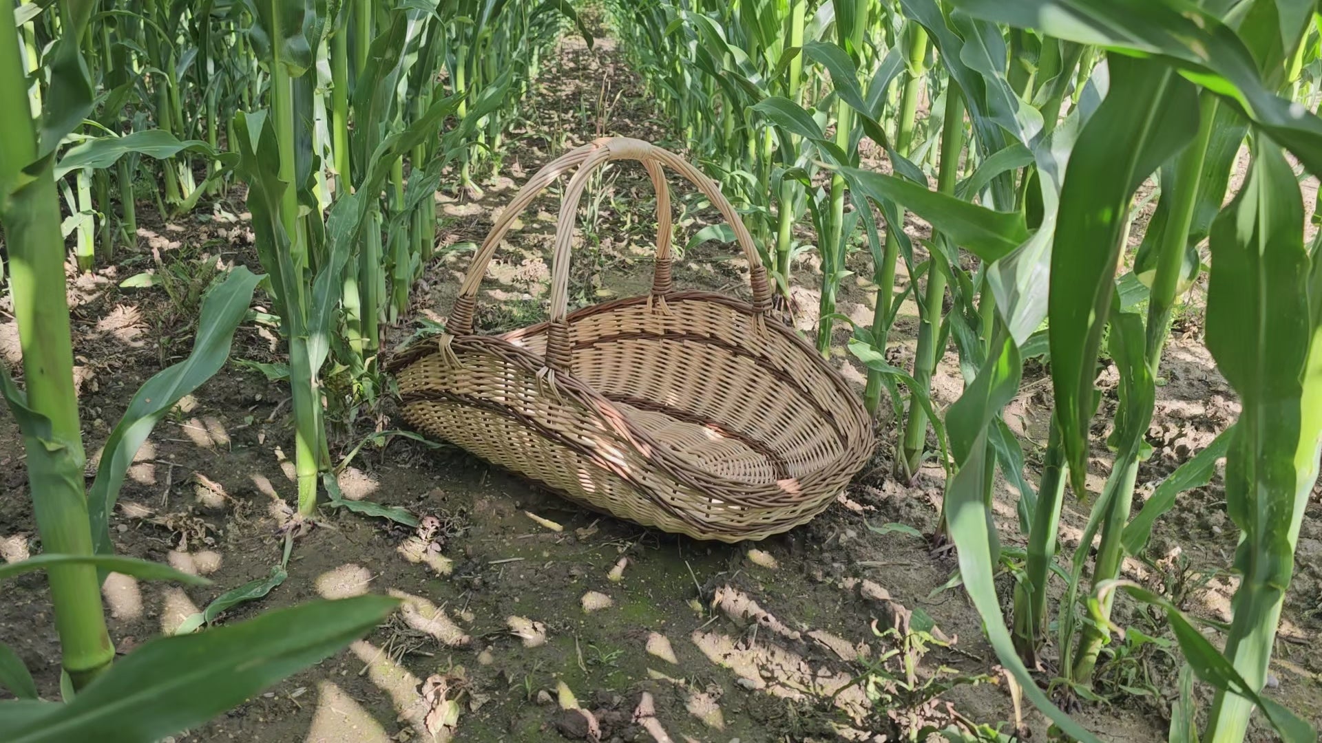 Large Wicker Basket 027b-4
