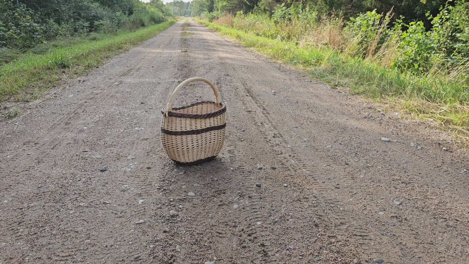 Egg Gathering Basket with Tall Handle