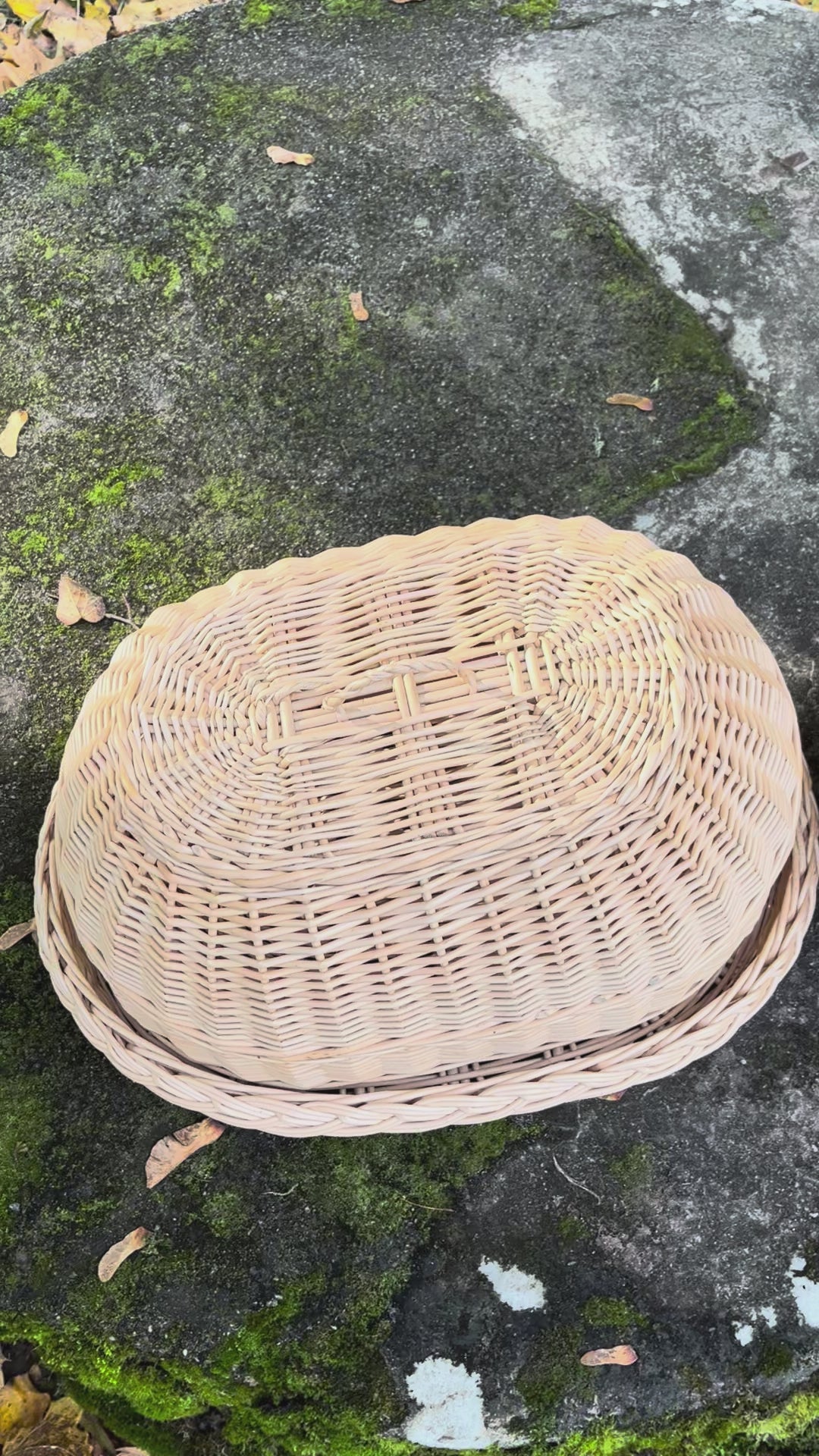 Handwoven Wicker Tray with Dome Lid