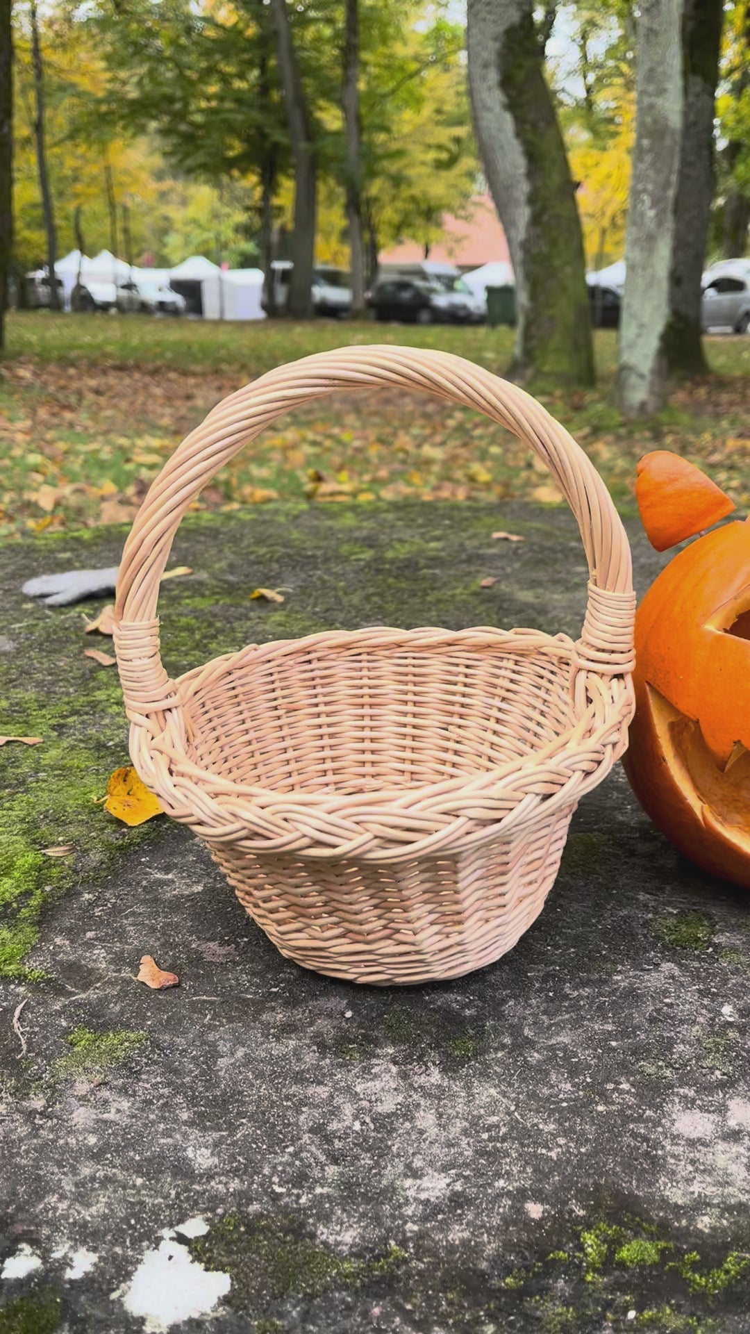 Small Rustic Decorative Wicker Basket