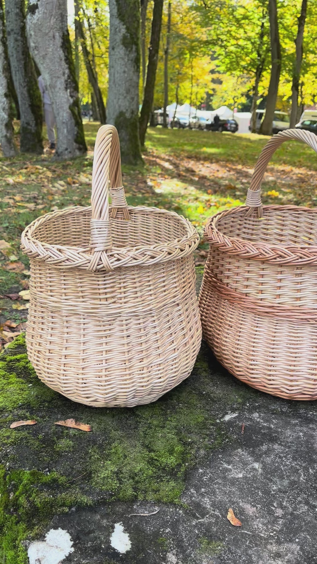 Handwoven Wicker Basket