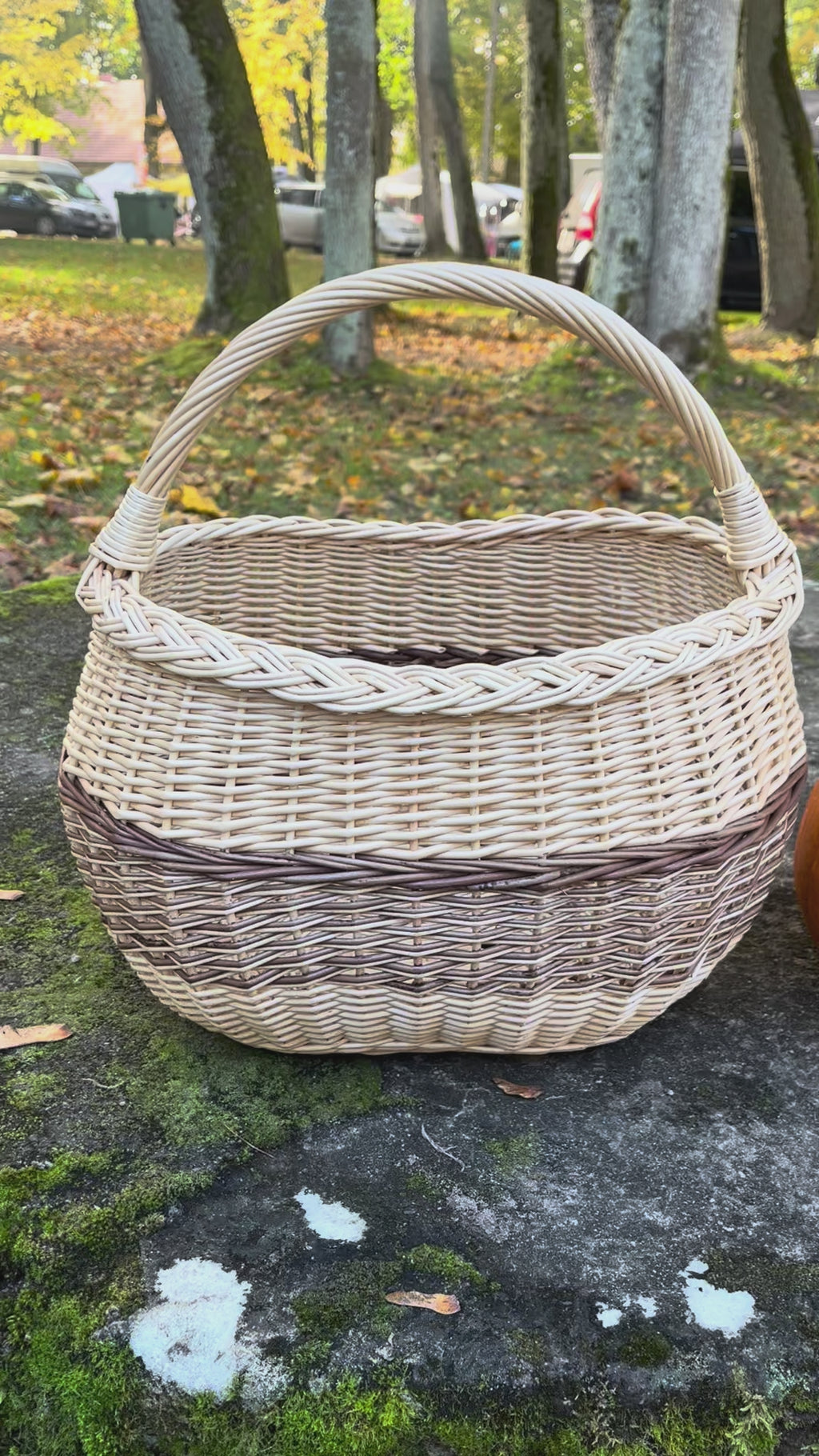 Large Round Wicker Storage Basket with Handle