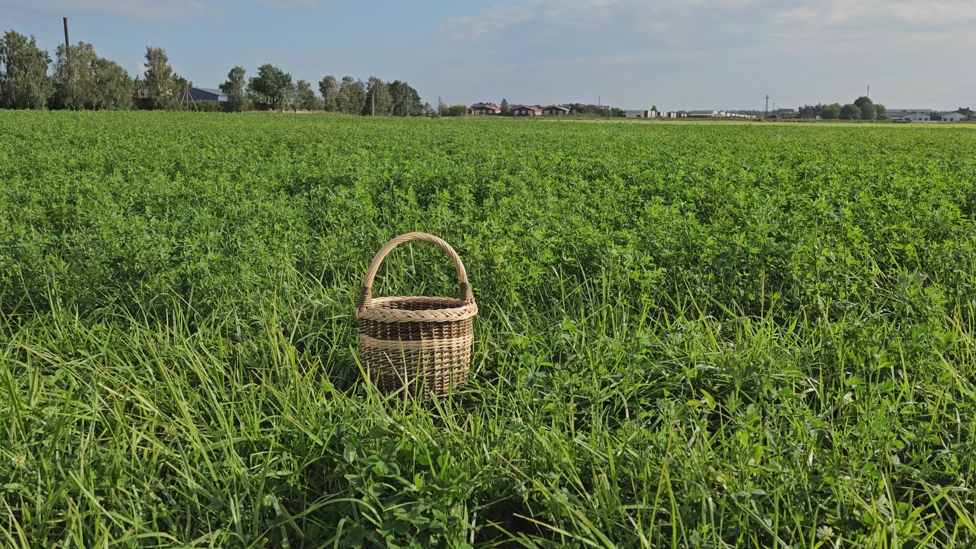 Tall Wicker Basket with Handle