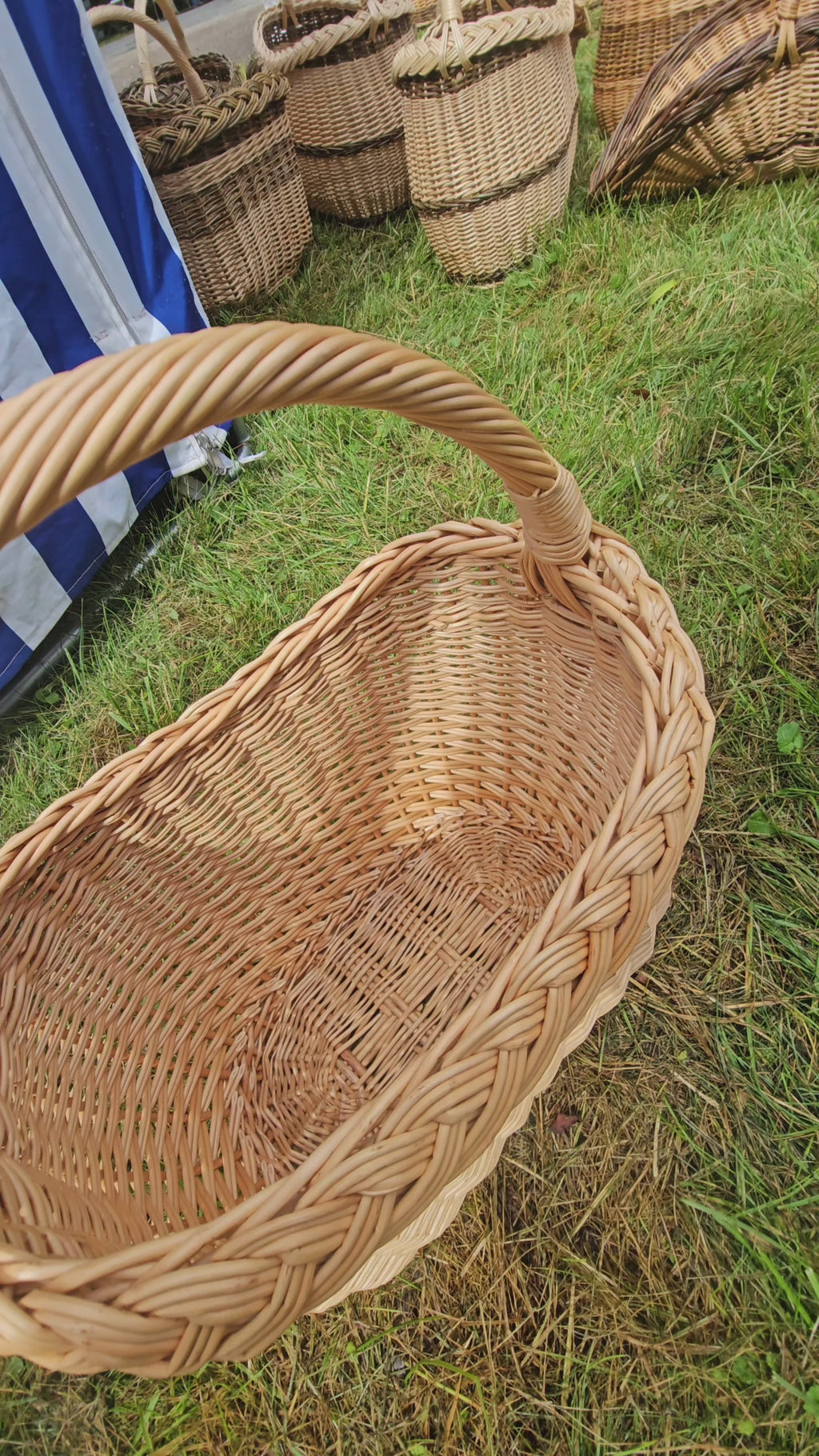 Wicker Basket with Braided Rim