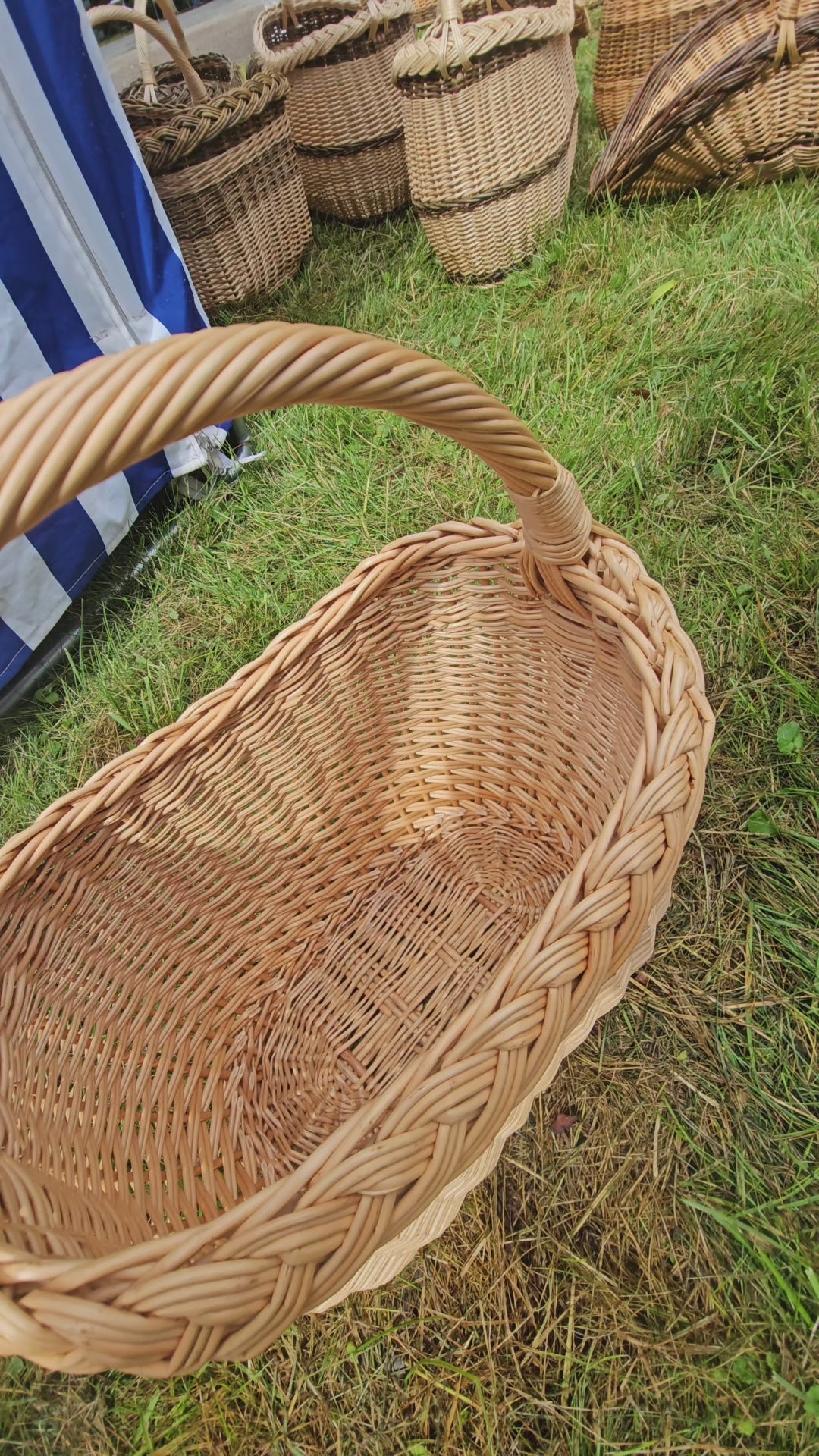 Wicker Basket with Braided Rim