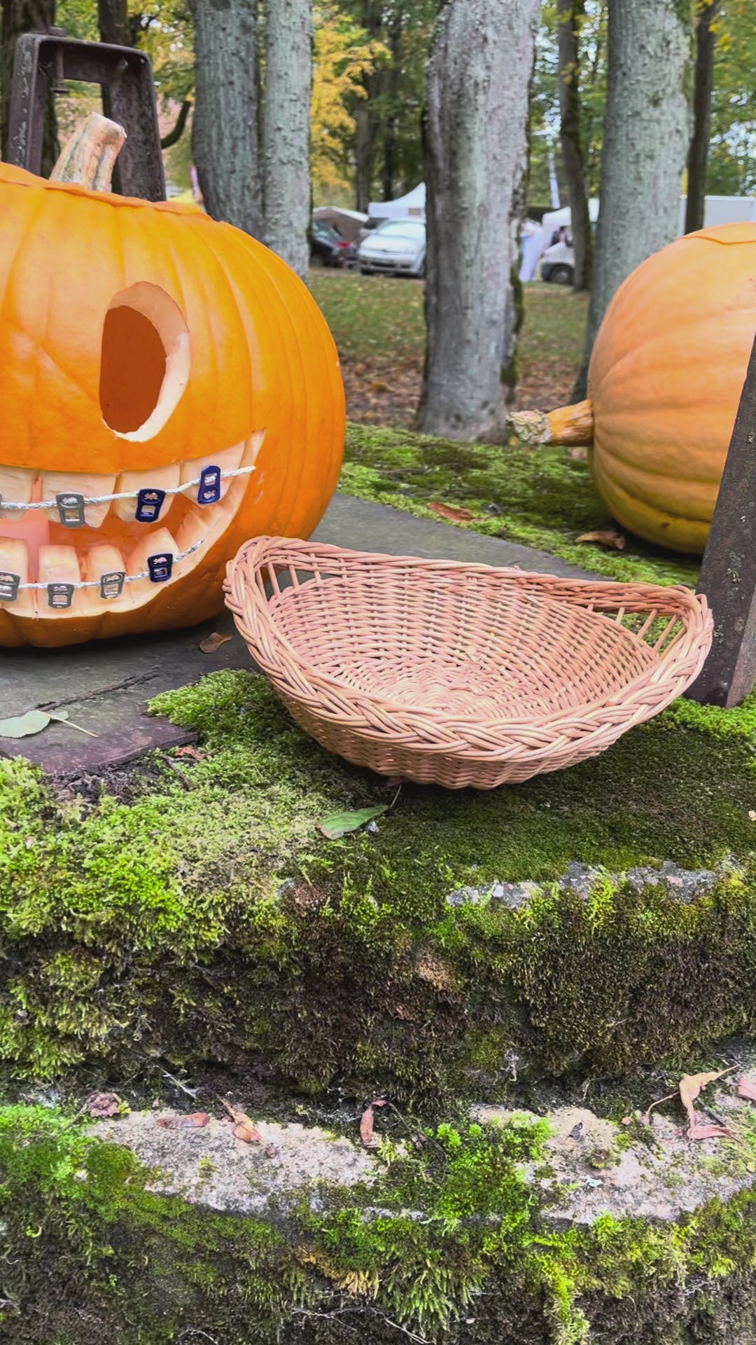 Wicker Round Tray Basket with Open Weave Rim