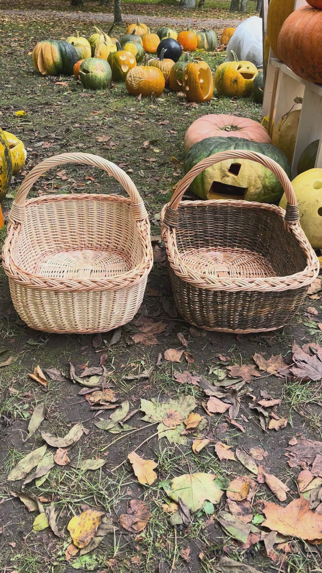 Rectangular Wicker Basket with Braided Handle