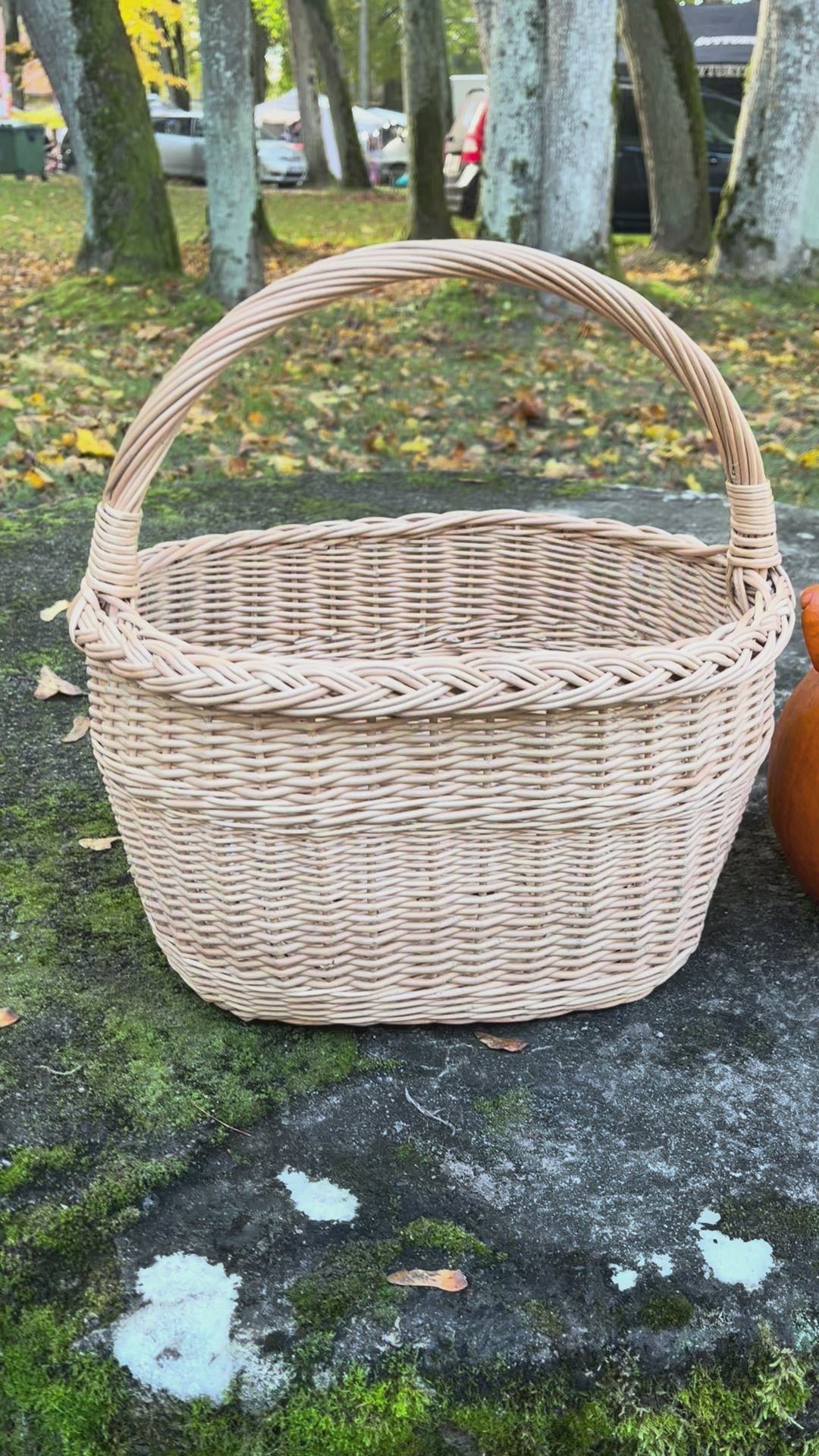 Handmade Rustic Wicker Basket