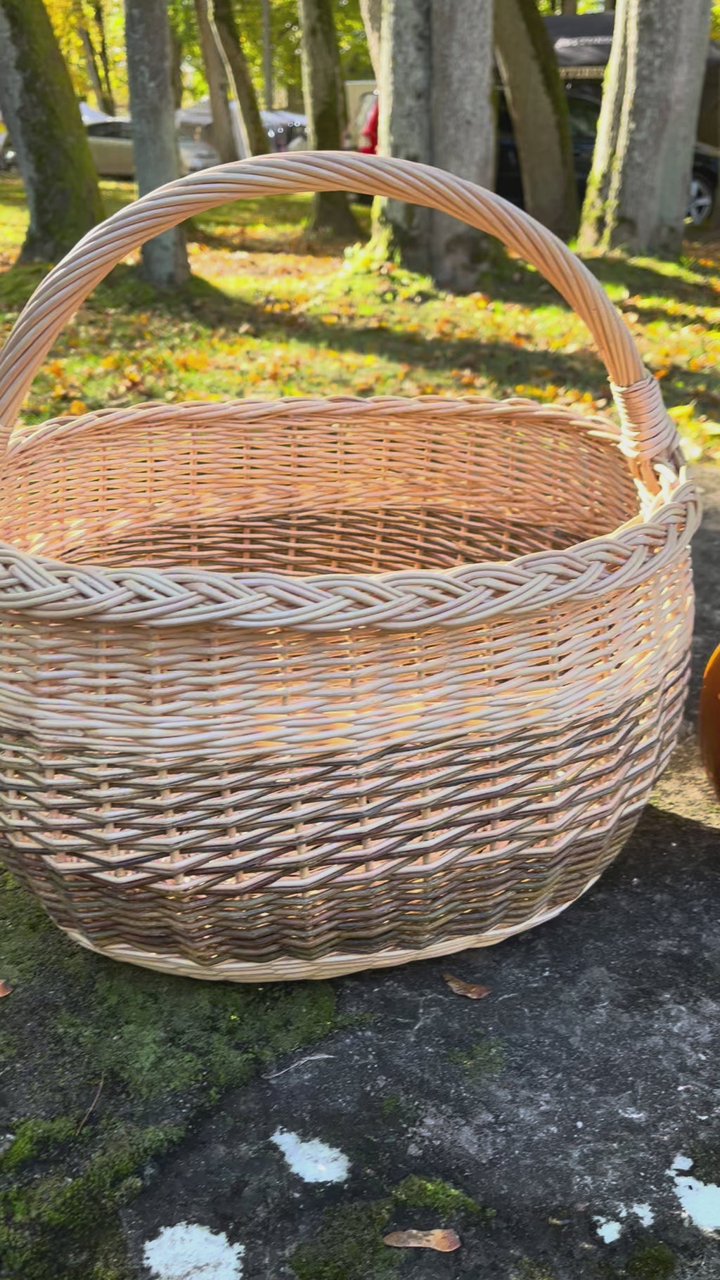 Rustic Handwoven Wicker Basket
