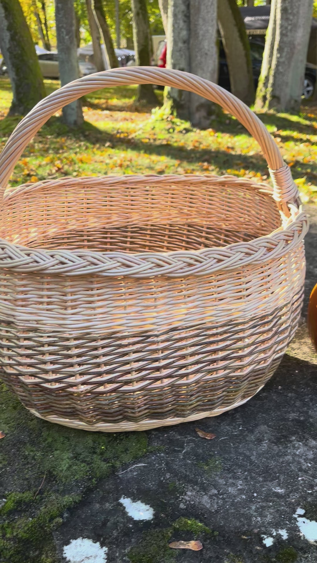 Rustic Handwoven Wicker Basket
