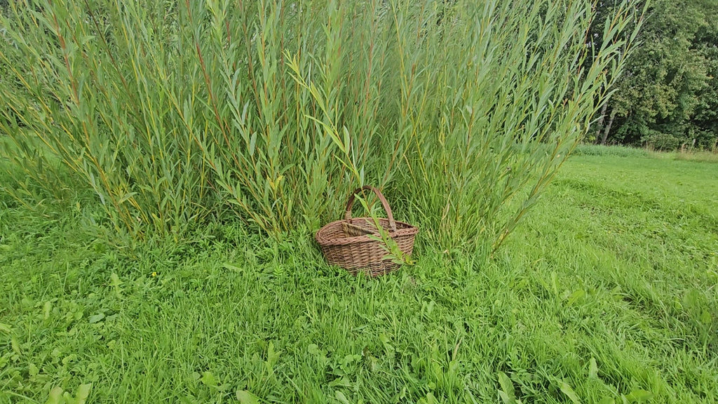 Wicker Picnic Basket with Divider