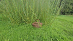 Wicker Picnic Basket with Divider