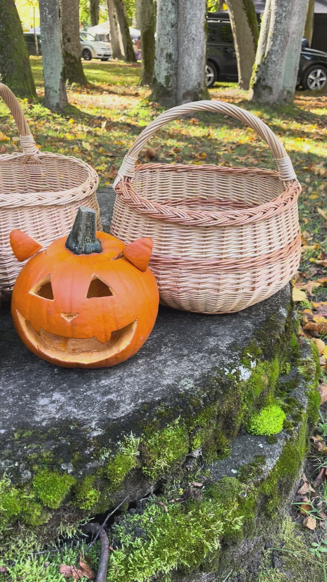 Round Wicker Basket
