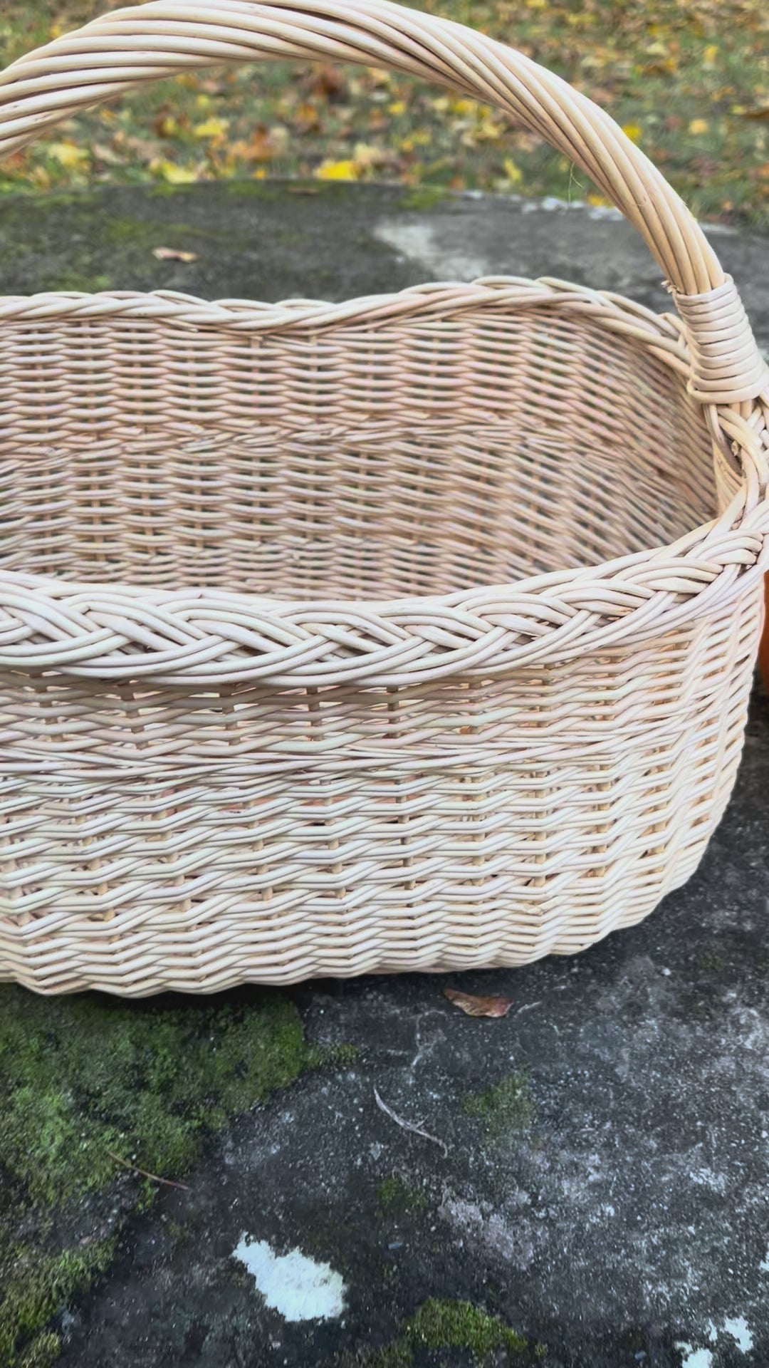 Wicker Oval Basket with Braided Rim