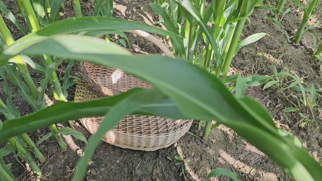 Round Wicker Basket with Handle