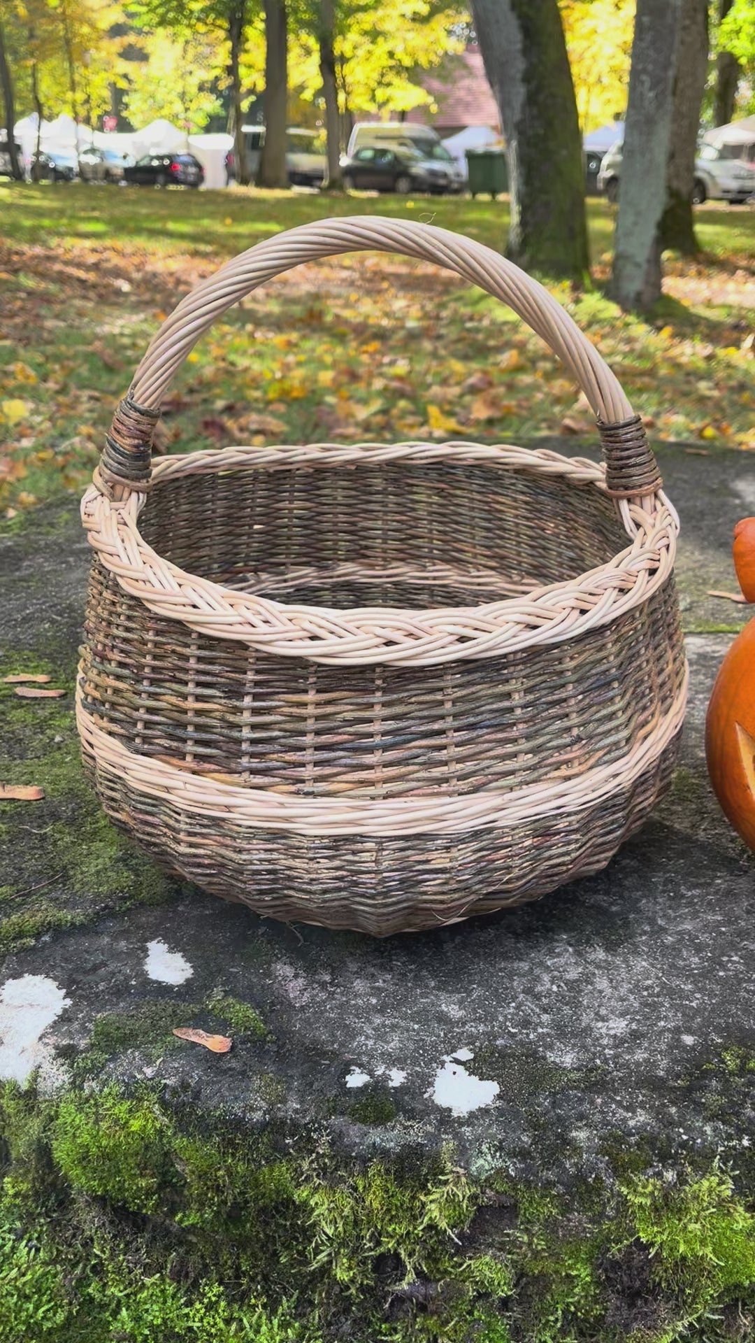 Round Wicker Basket with Handle