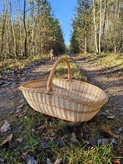 Labai didelė ovali pintinė su lanko formos rankena per vidurį ant miško kelio rudens saulėje, matyti gilus vidus ir pintas dugnas