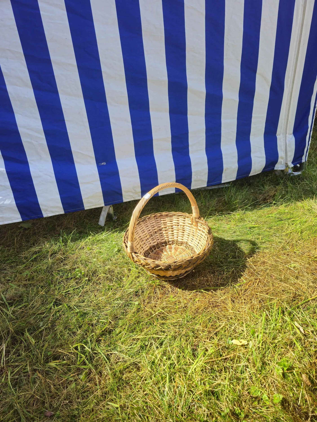 Small egg gathering basket with handle standing on a sunny lawn in front of a striped garden tent, showing its compact size