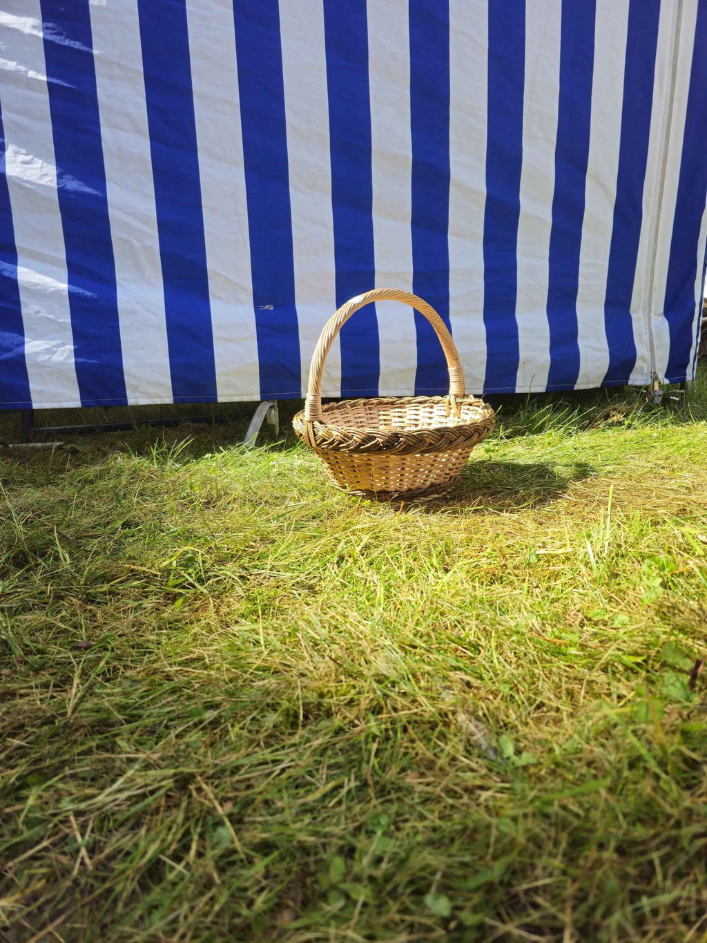 Wide view of the small handwoven willow basket with handle on a green lawn, photographed from a distance in the sun