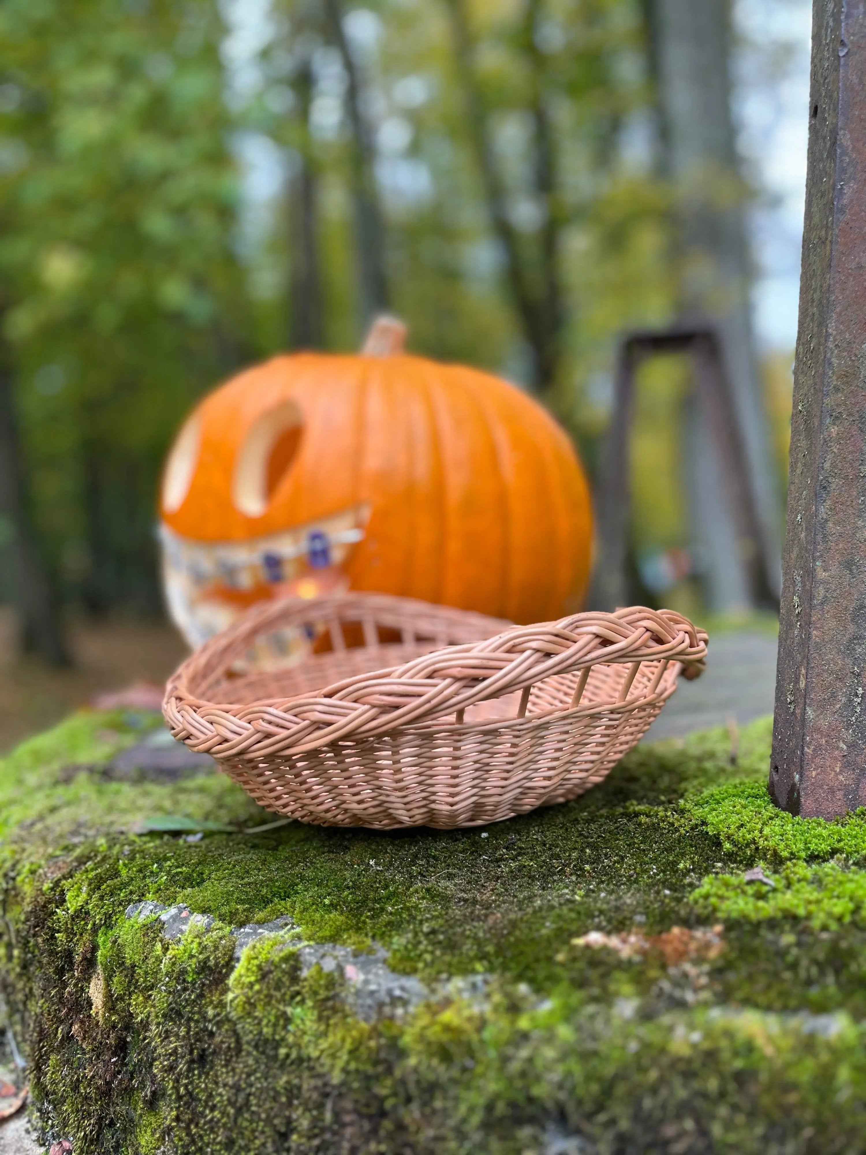 Mini Wicker Tray — wicker tray, view 2