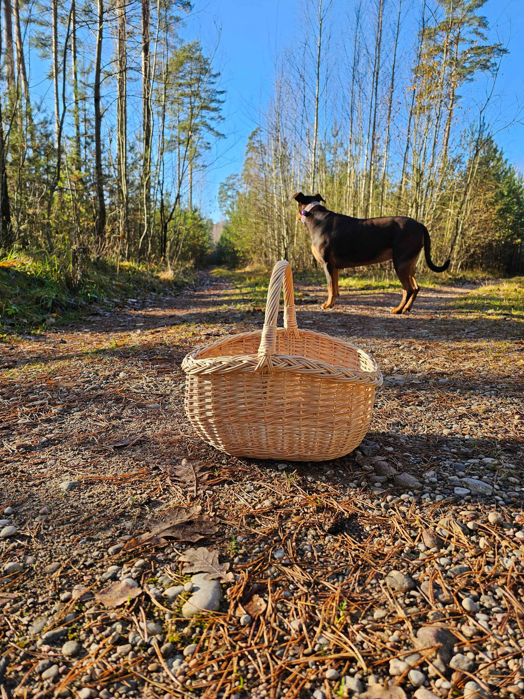 Small wicker basket 051b - NaturelyWoven wicker - handmade