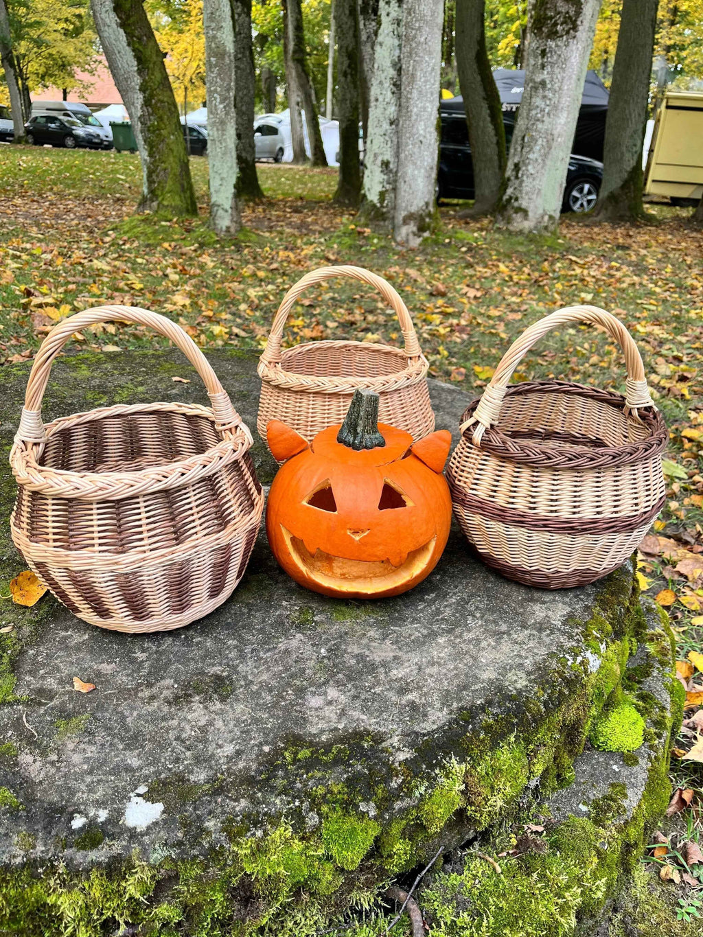 Small wicker basket 021b - NaturelyWoven wicker - handmade